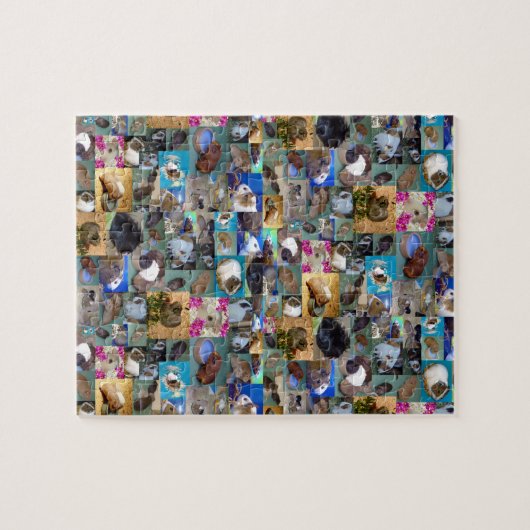 Guinee Pig Fotocollage, puzzel Legpuzzel (Horizontaal)