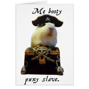 Guinee Pig Funny Pirate