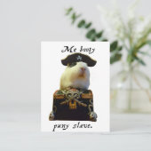 Guinee Pig Funny Pirate Briefkaart (Staand voorkant)