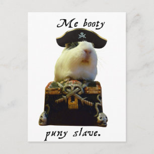 Guinee Pig Funny Pirate Briefkaart