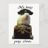 Guinee Pig Funny Pirate Briefkaart (Voorkant)
