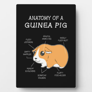 Guinee Pig Gift   Anatomie van een cavia Fotoplaat