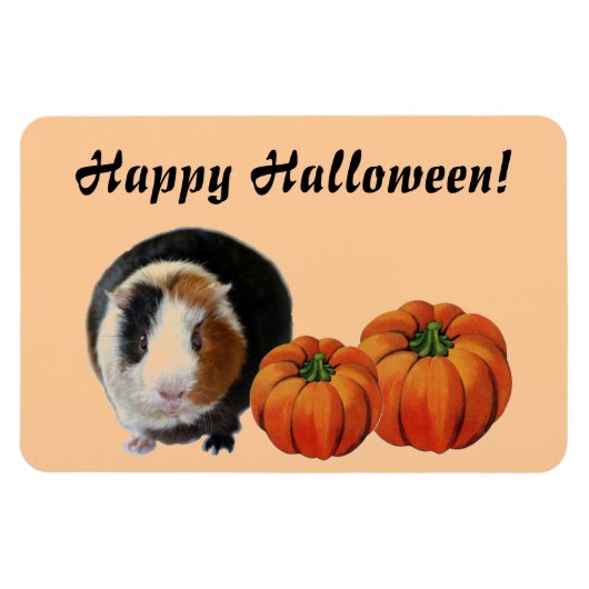 Guinee Pig Halloween Magneet (Horizontaal)
