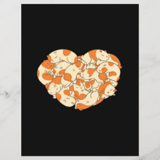 Guinee Pig Heart Love | Cute Baby Guinee Pig