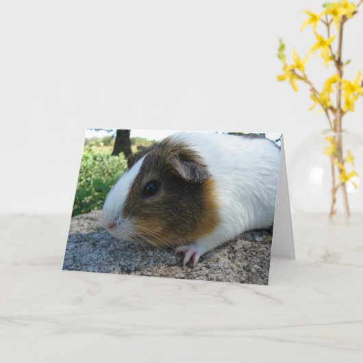 Guinee Pig Kaart (Gele Bloem)