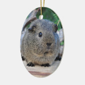 Guinee Pig Keramisch Ornament (Links)