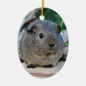 Guinee Pig Keramisch Ornament (Voorkant)