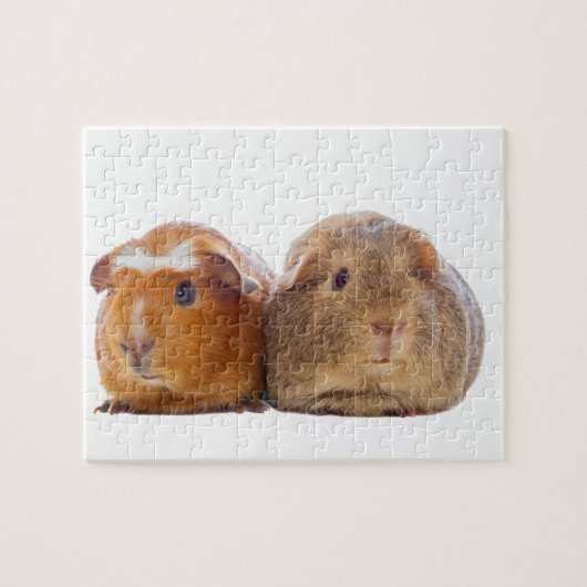 Guinee Pig Legpuzzel (Horizontaal)