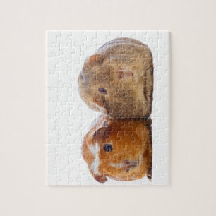Guinee Pig Legpuzzel