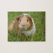 Guinee Pig Legpuzzel (Horizontaal)