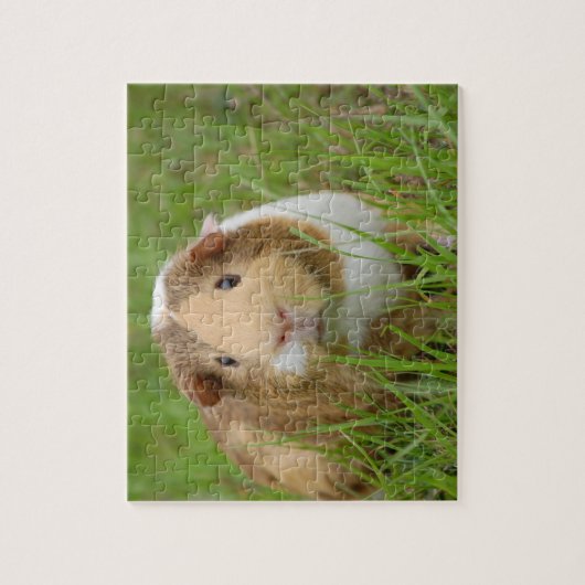Guinee Pig Legpuzzel (Verticaal)