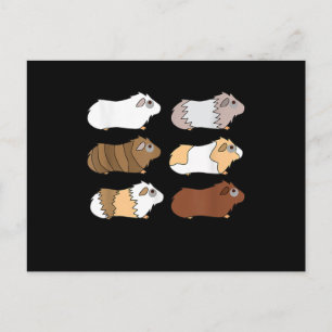 Guinee Pig Love Guinea Pig Wheek Wheek Feed Me Briefkaart