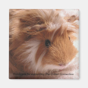 Guinee pig Magnet #1