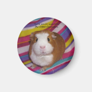 Guinee pig Magnet 3