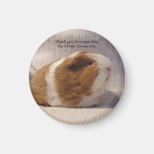Guinee pig Magnet #5