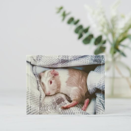 Guinee Pig Missing You Briefkaart Bewerkbaar (Staand voorkant)