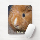 Guinee Pig Mousepad Muismat (Met muis)