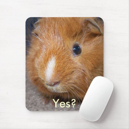 Guinee Pig Mousepad Muismat (Met muis)