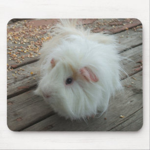 Guinee Pig Mousepad Muismat