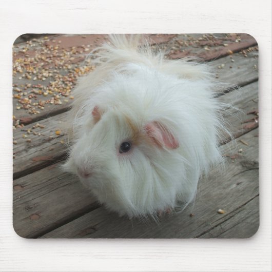 Guinee Pig Mousepad Muismat (Voorkant)
