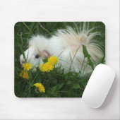 Guinee Pig Mousepad Muismat (Met muis)