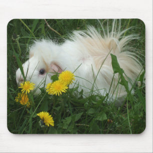 Guinee Pig Mousepad Muismat