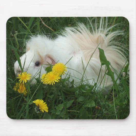 Guinee Pig Mousepad Muismat (Voorkant)