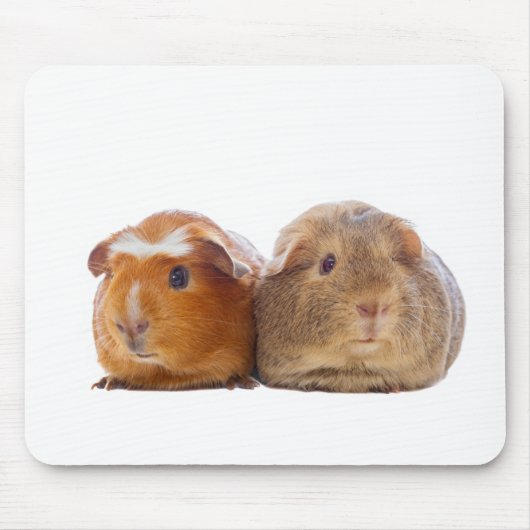 Guinee Pig Muismat (Voorkant)