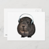 Guinee Pig Music Pet Briefkaart (Voorkant / Achterkant)