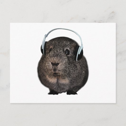 Guinee Pig Music Pet Briefkaart (Voorkant)