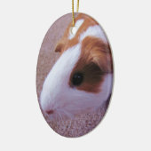 Guinee Pig Ornament (Links)