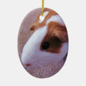 Guinee Pig Ornament (Voorkant)
