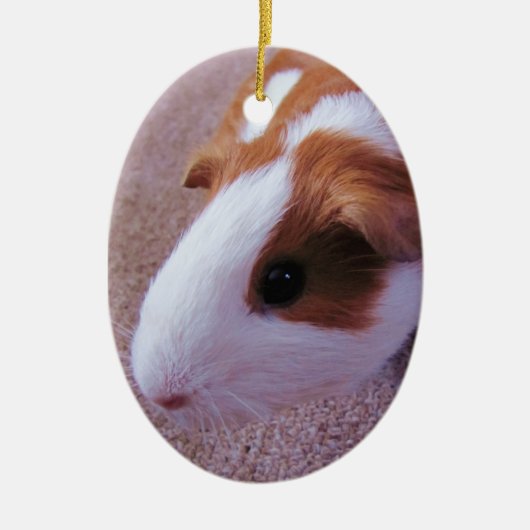 Guinee Pig Ornament (Voorkant)