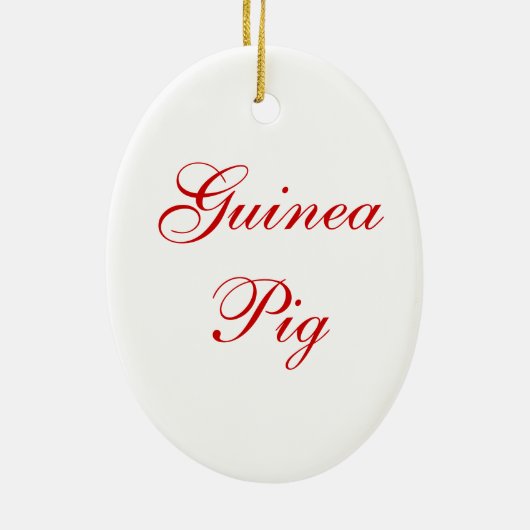 Guinee Pig Ornament (Achterkant)