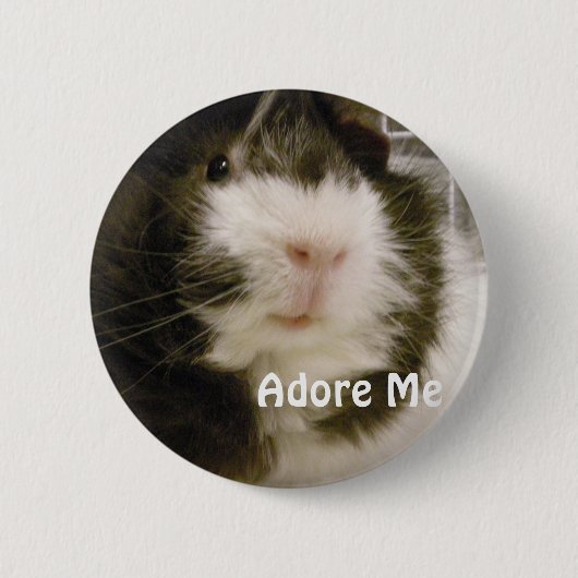 Guinee Pig Ronde Button 5,7 Cm (Voorkant)