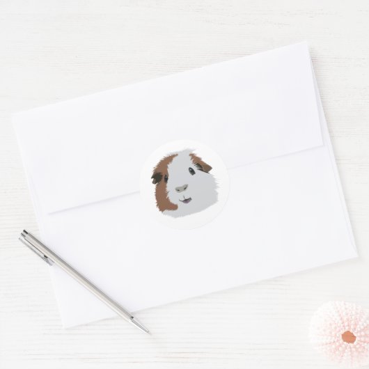 Guinee Pig Ronde Sticker (Envelop)