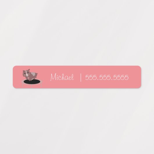 Guinee Pig School Class Lunch Naam Nummer Labels (Design 2)