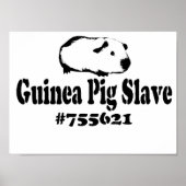 Guinee Pig Slave Poster (Voorkant)