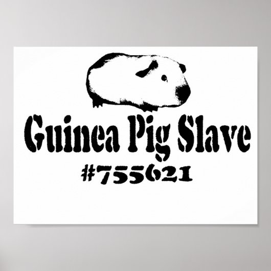 Guinee Pig Slave Poster (Voorkant)