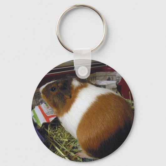 Guinee Pig Sleutelhanger (Voorkant)