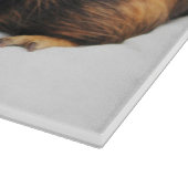 Guinee Pig Snijplank (Hoek)