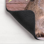 Guinee Pig SweeLieverd Muismat (Hoek)