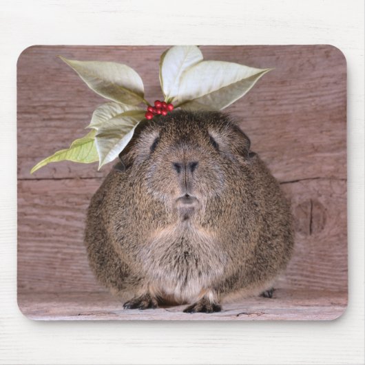 Guinee Pig SweeLieverd Muismat (Voorkant)