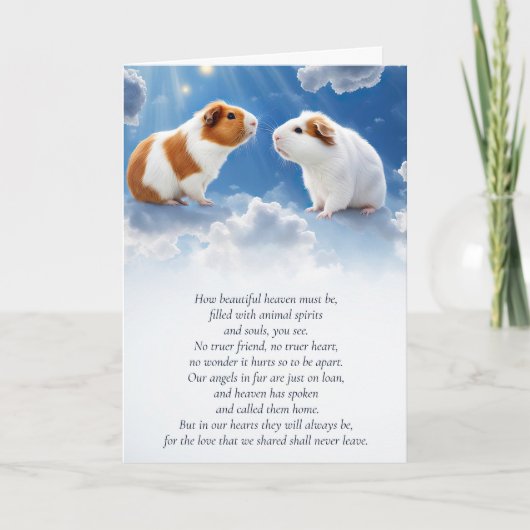 Guinee Pig Sympathie Verlies van Pet Kaart (Voorkant)