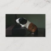 Guinee Pig Today Visitekaartjes (Achterkant)
