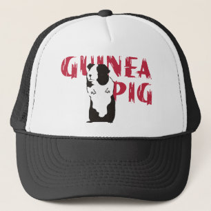 Guinee Pig Trucker Pet