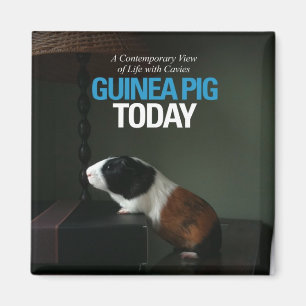 Guinee Pig Vandaag Foto Magneet
