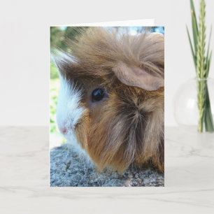 Guinee Pig Vrouw Portret Kaart