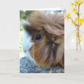Guinee Pig Vrouw Portret Kaart (Gele Bloem)