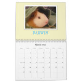 Guinee Pigs 2013 Kalender (Mar 2027)